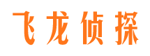 新龙飞龙私家侦探公司